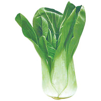Baby Bok Choy