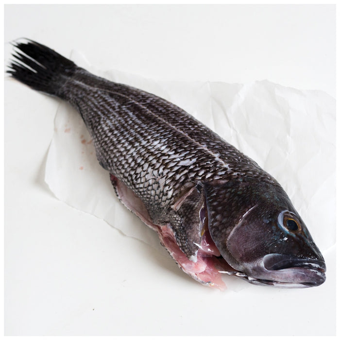 Wild Cleaned Black Sea Bass