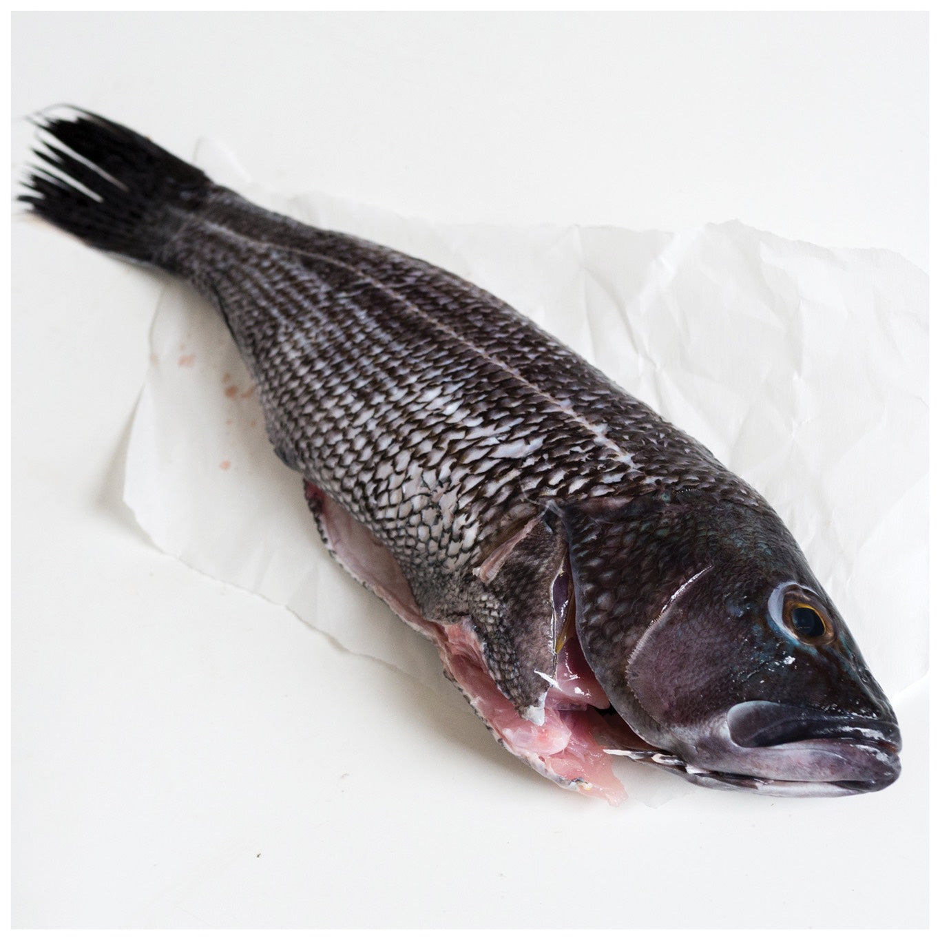 Wild Cleaned Black Sea Bass