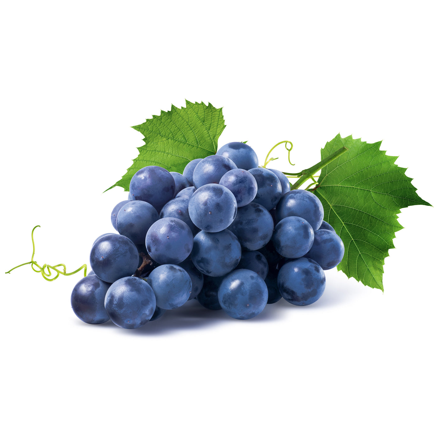Blue Thomcord Grapes