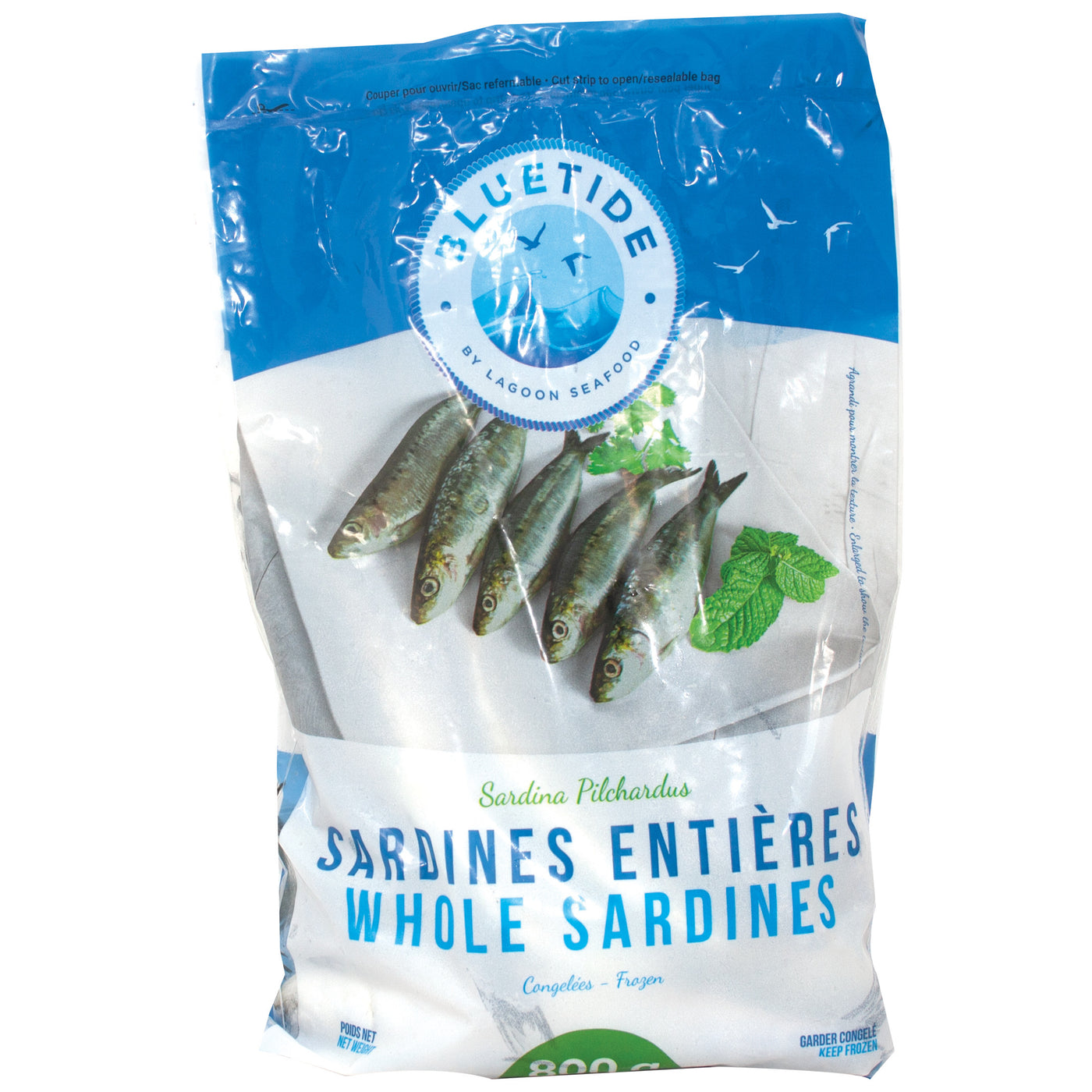 Frozen Whole Sardines