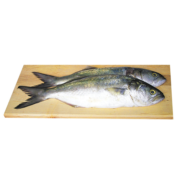 Whole Bluefish