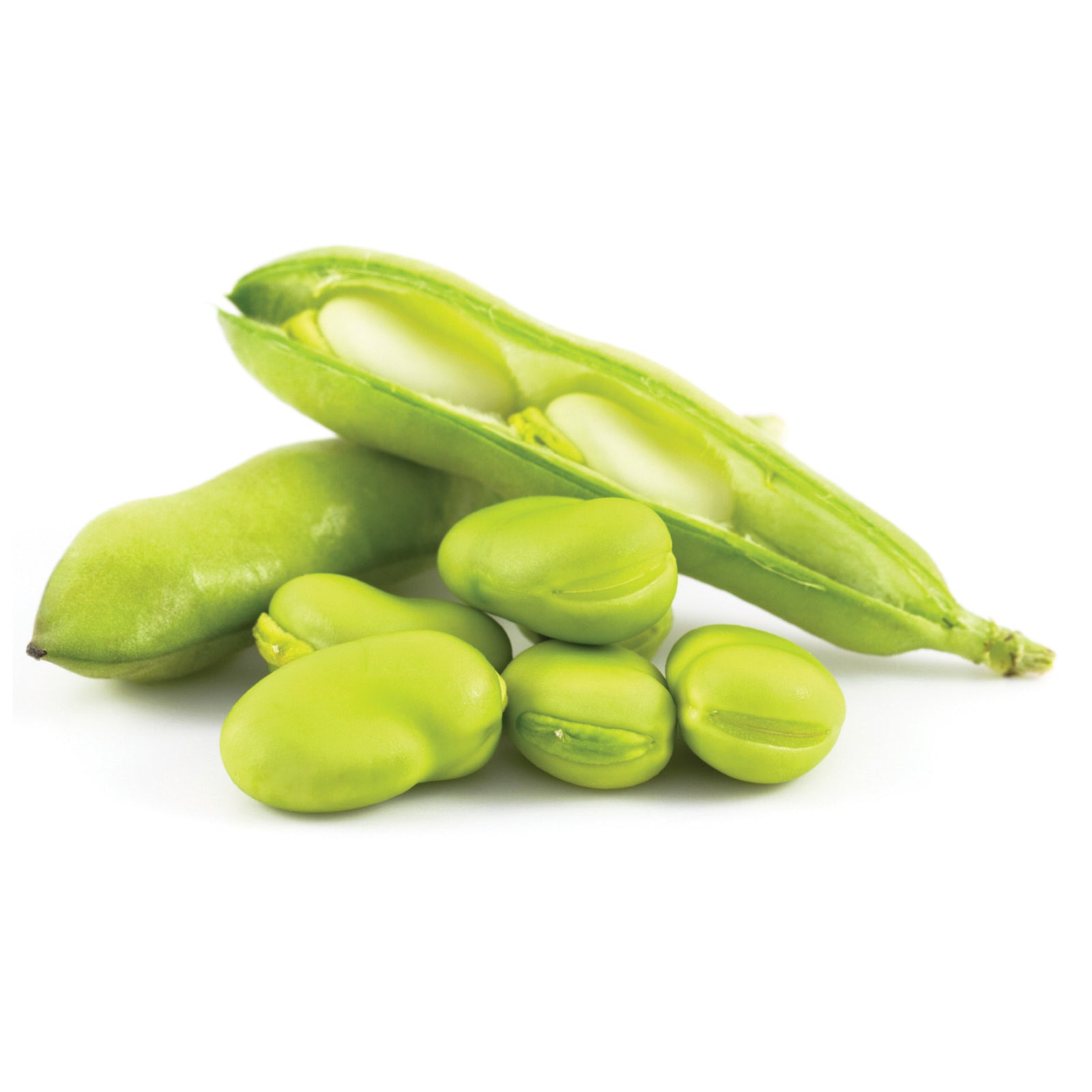 Broad Beans