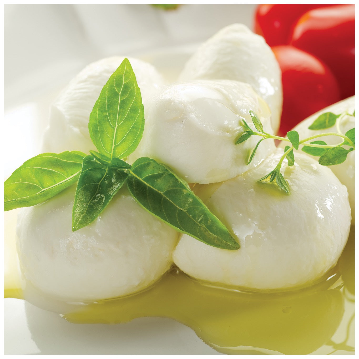 Italian Burrata Cheese