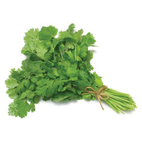Fresh Coriander