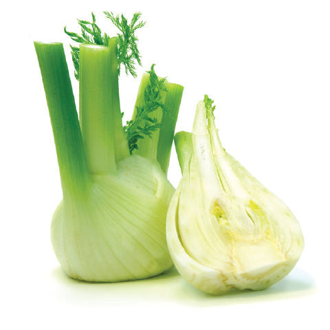 Organic Fennel