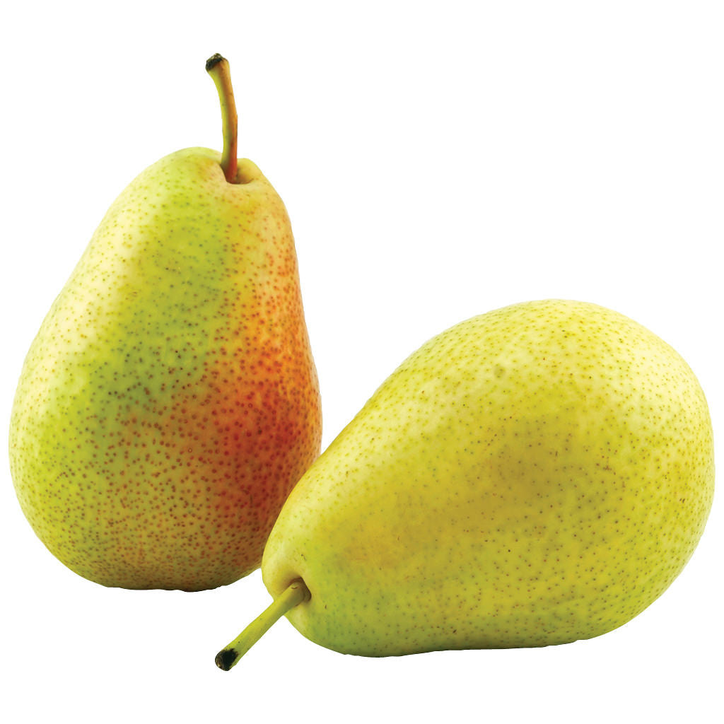 Flemish Beauty Pears