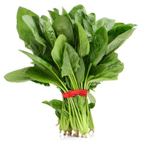 Fresh Spinach