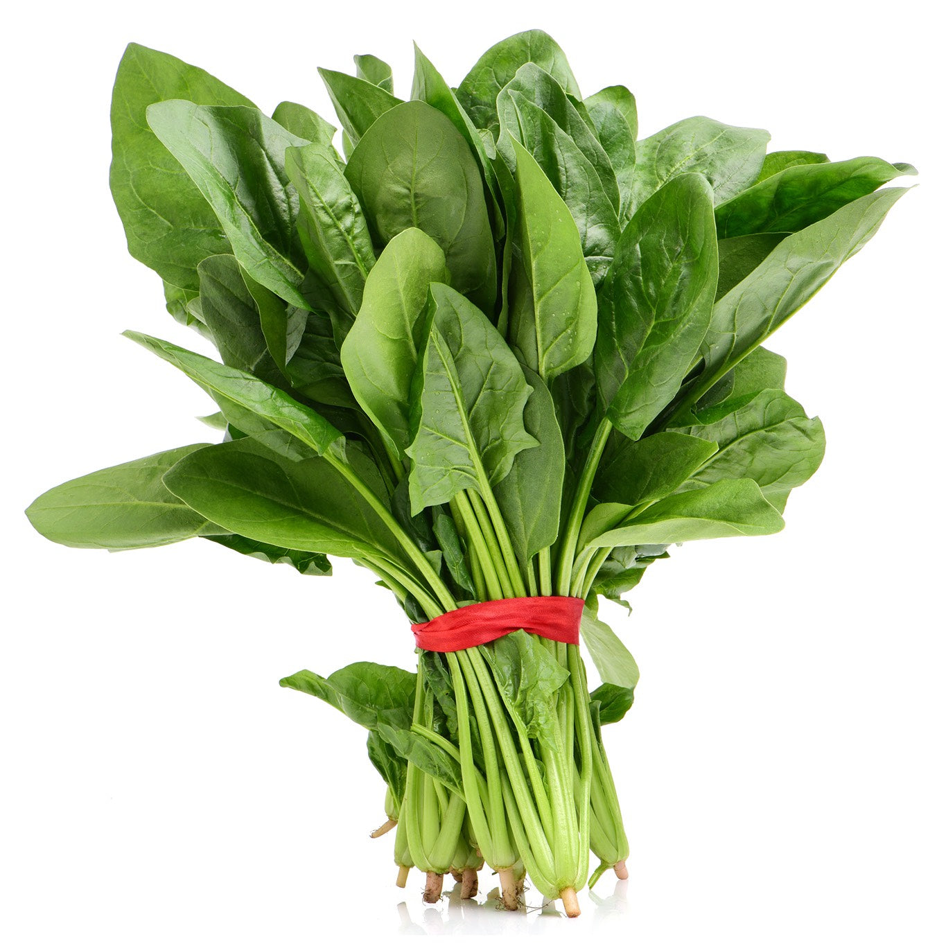 Fresh Organic Spinach