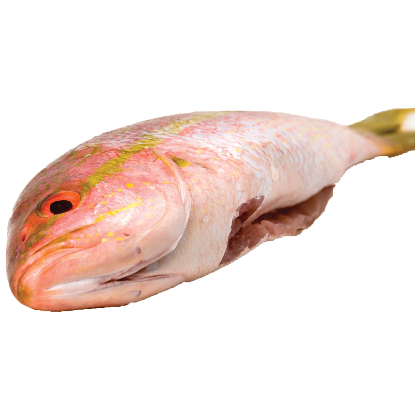Fresh Cleaned Yellowtail Snapper