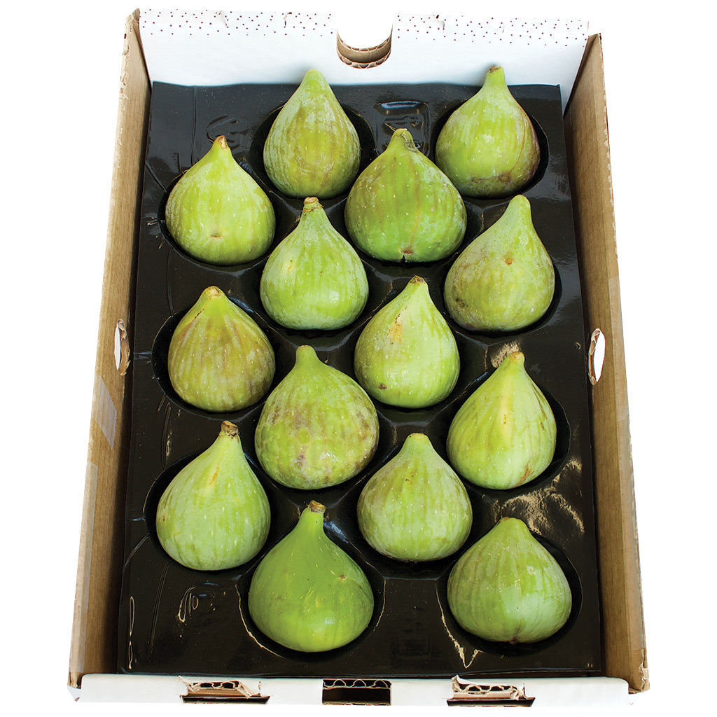 Green Figs Box
