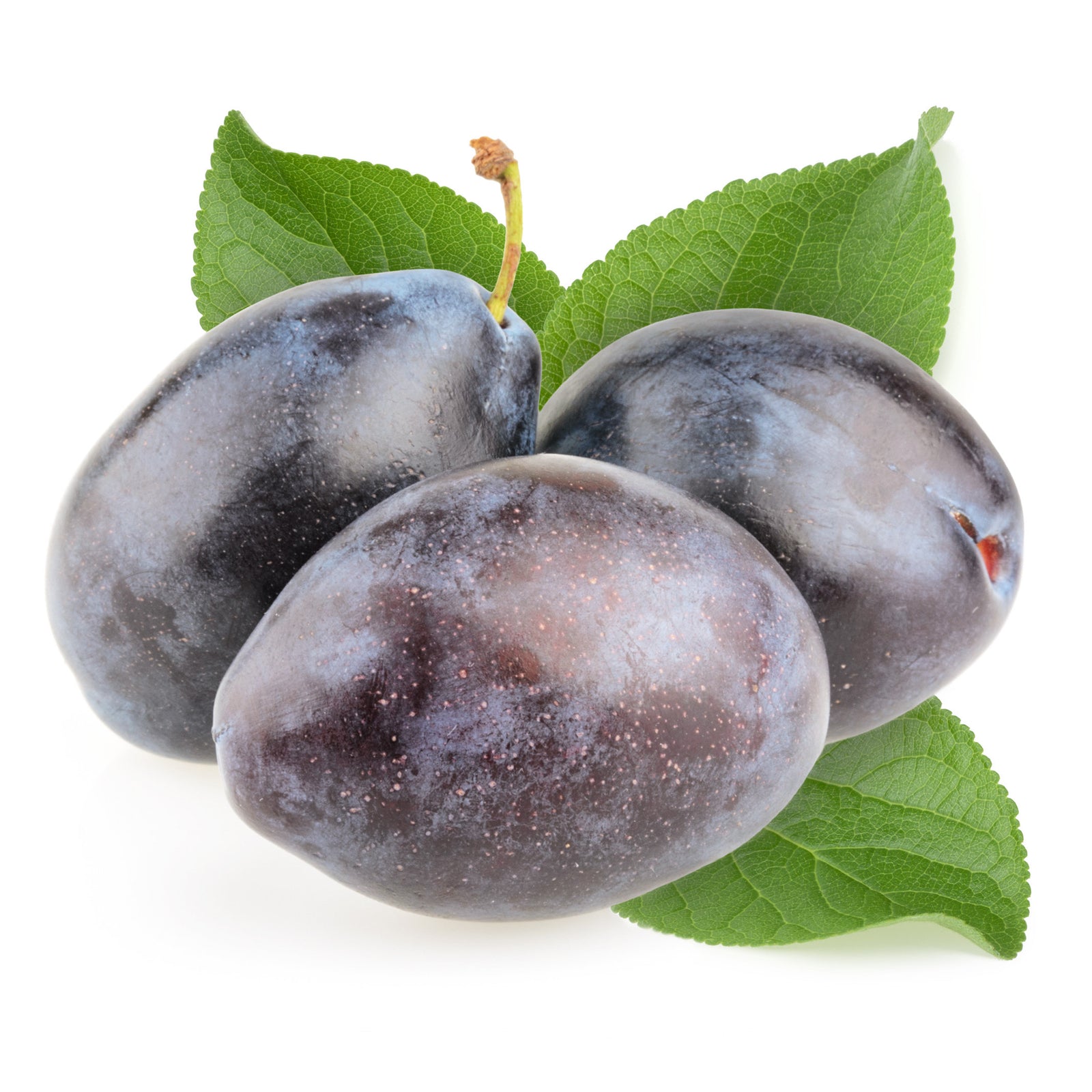 Plums