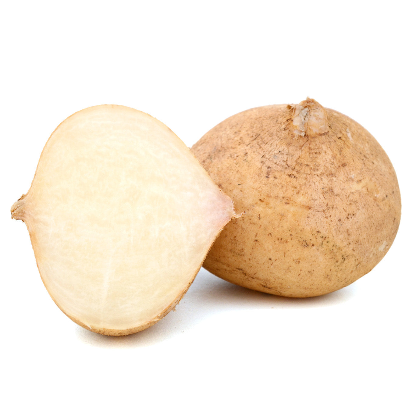 Jicama