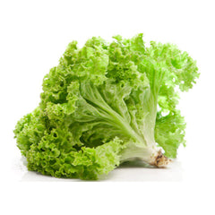 Supermarché PA Green Leaf Lettuce per unit