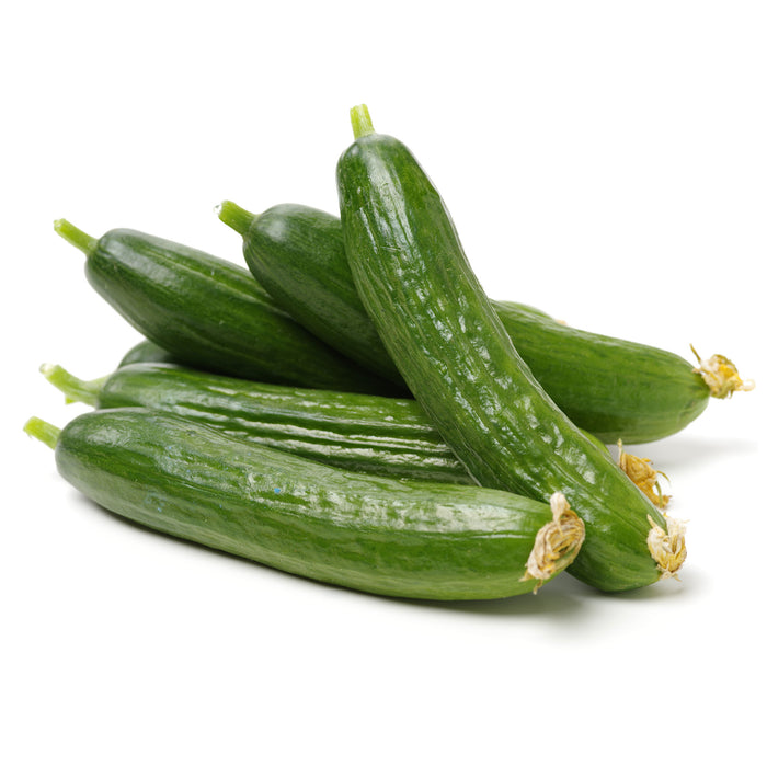 Lebanese Cucumbers