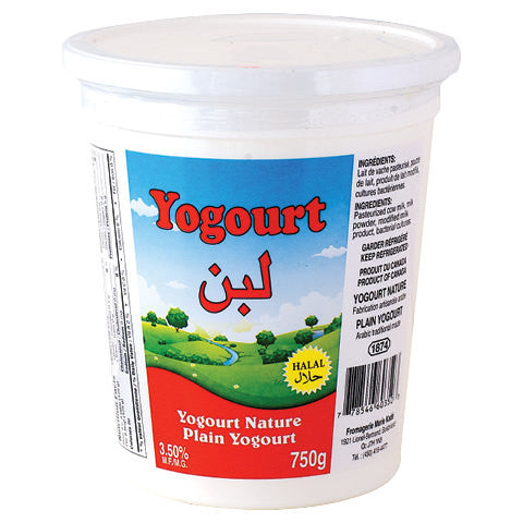 Plain Yogurt