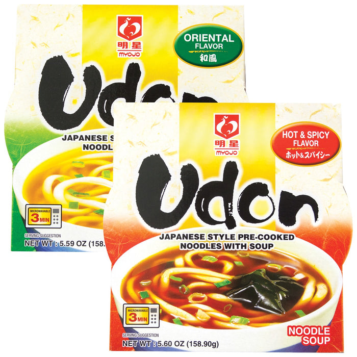 Japanese Style Udon Noodles wth Soup