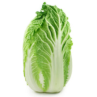 Nappa Lettuce