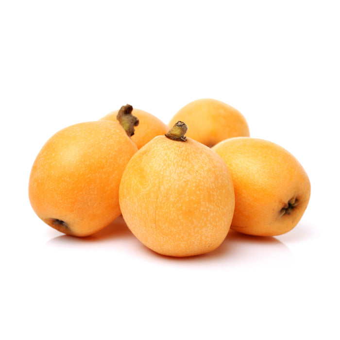Loquat