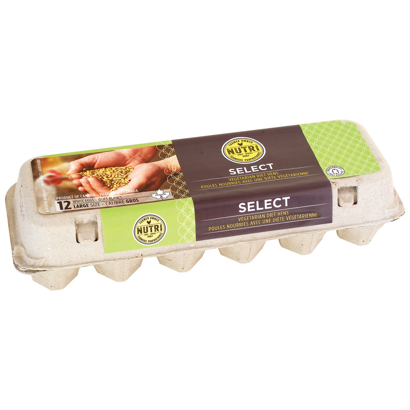 Vegetarian Diet Hen's Large White Eggs