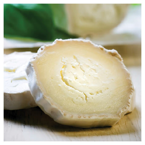 Goat Cheese Log (Paillot de Chèvre)