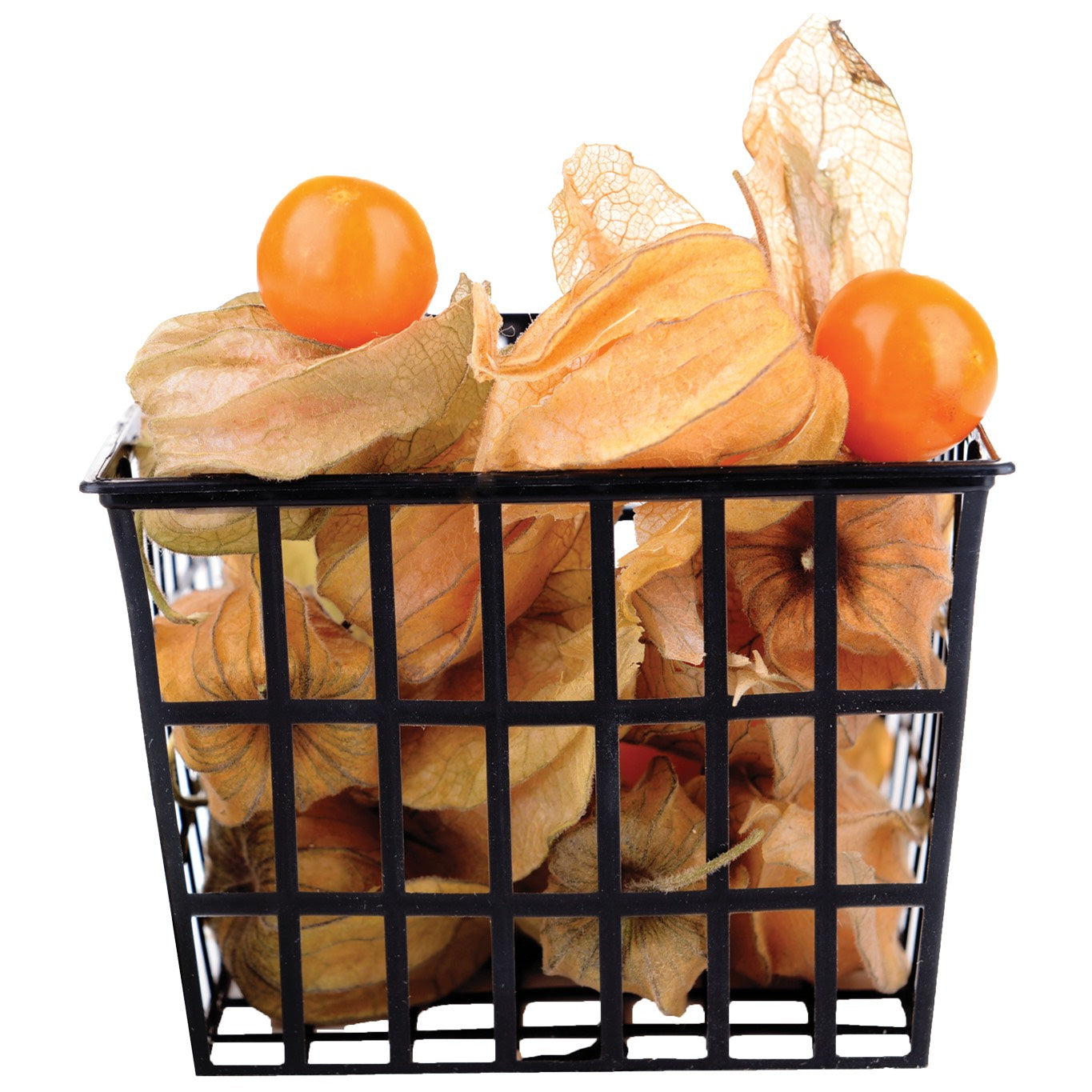 Ground Cherries (Physalis)