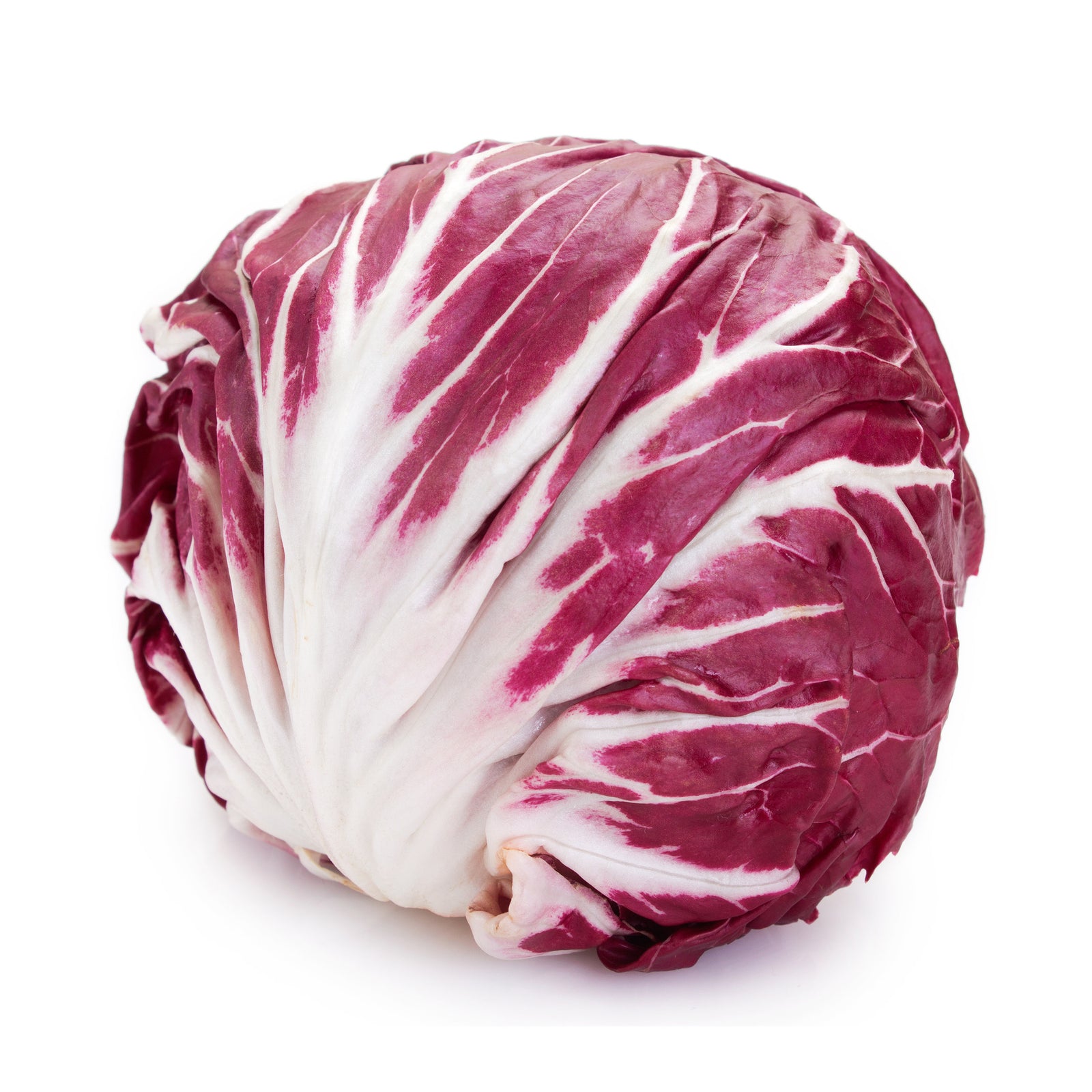 Radicchio