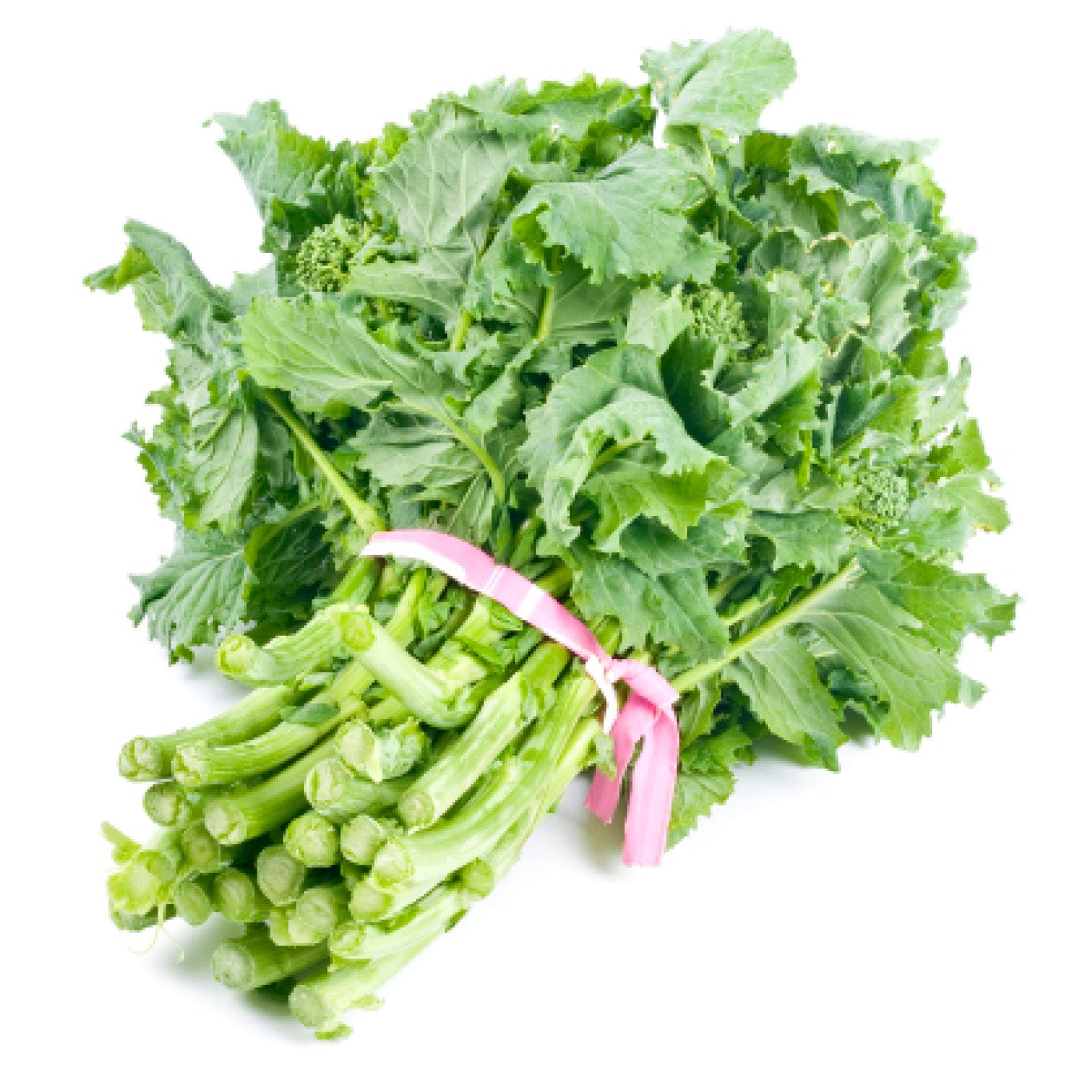 Rapini