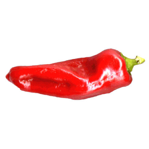 Red Shepperd Peppers