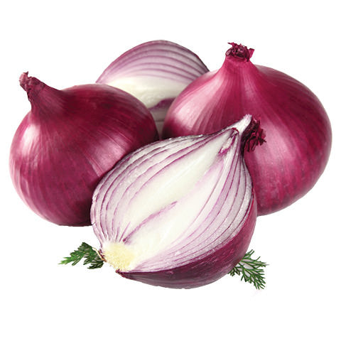 Red Onions Bag