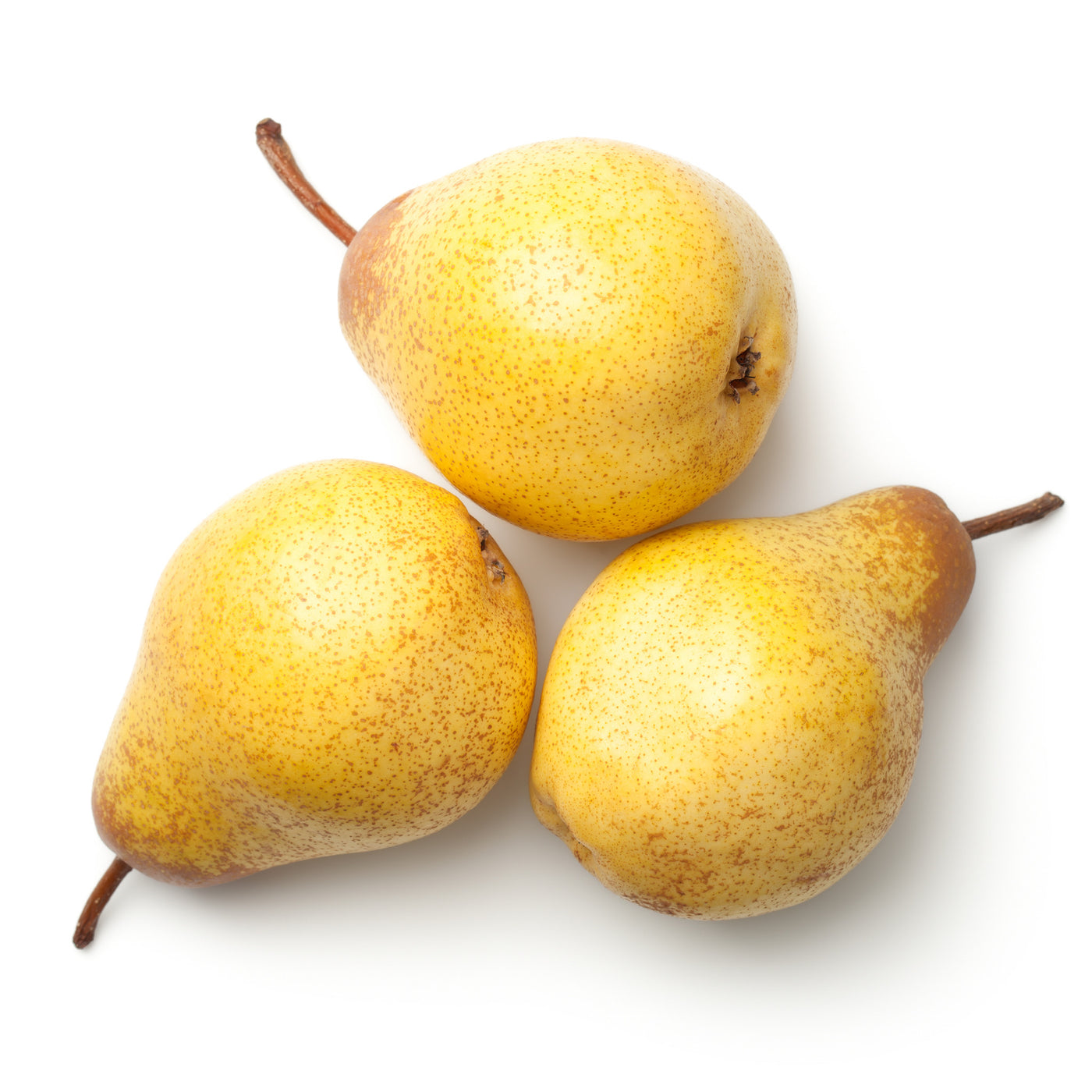 Rocha Pears