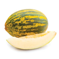 Santa Claus Melons