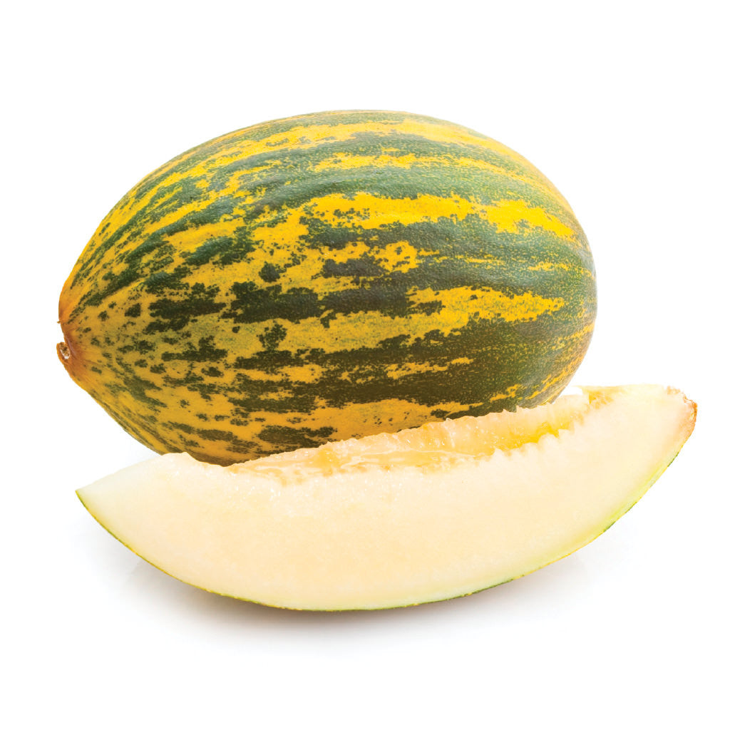 Santa Claus Melons