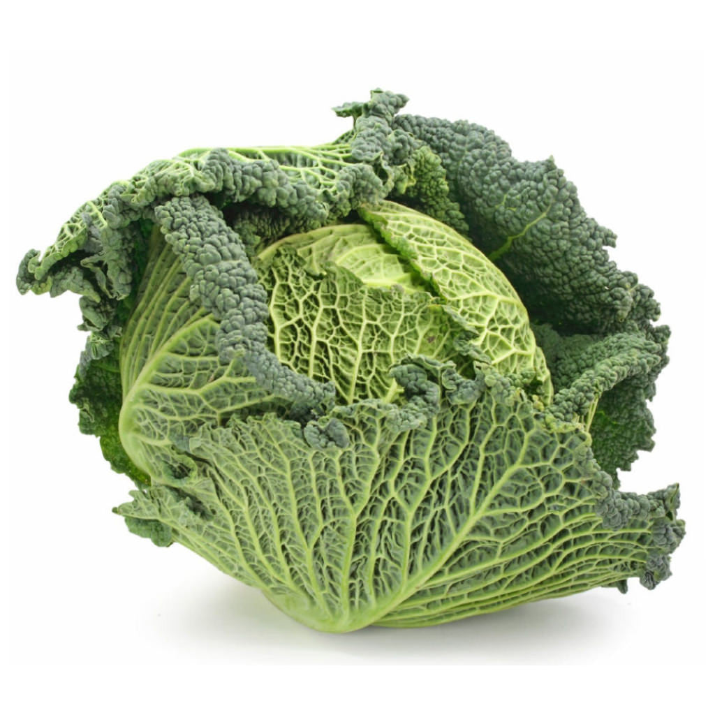 Savoie Cabbage
