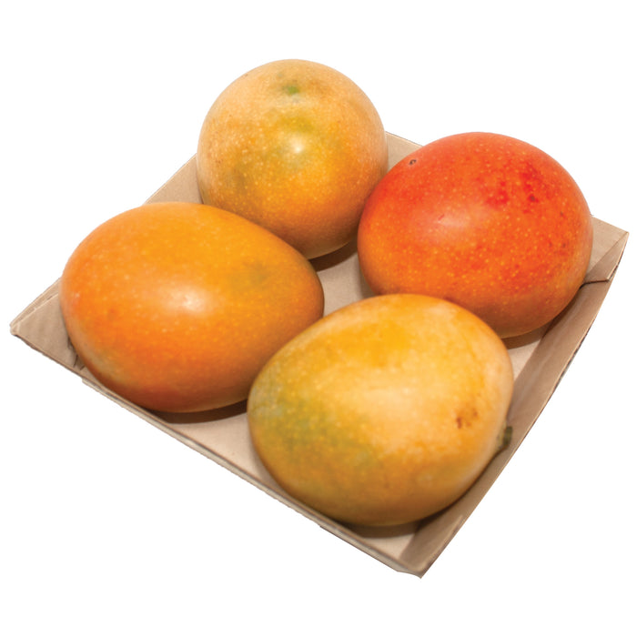 Sugar Baby Mangoes