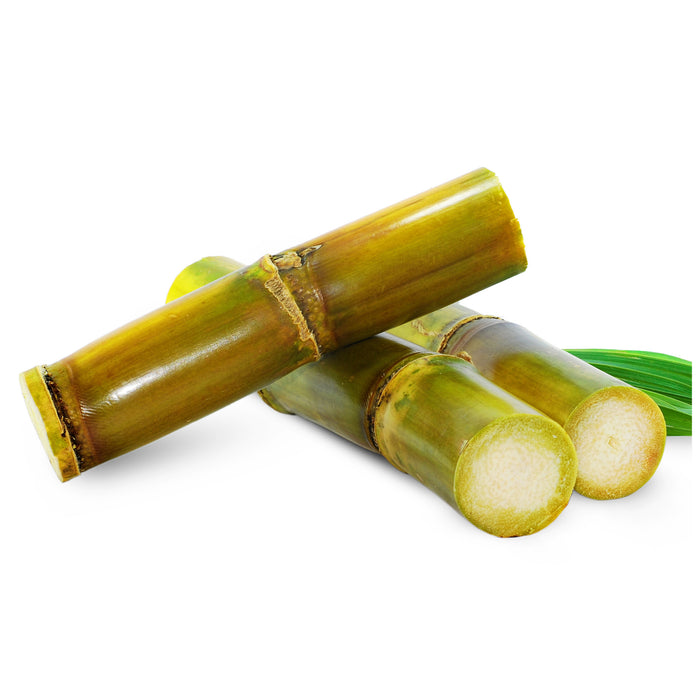 Sugarcane