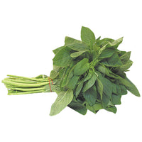 Vlita (Amaranth)