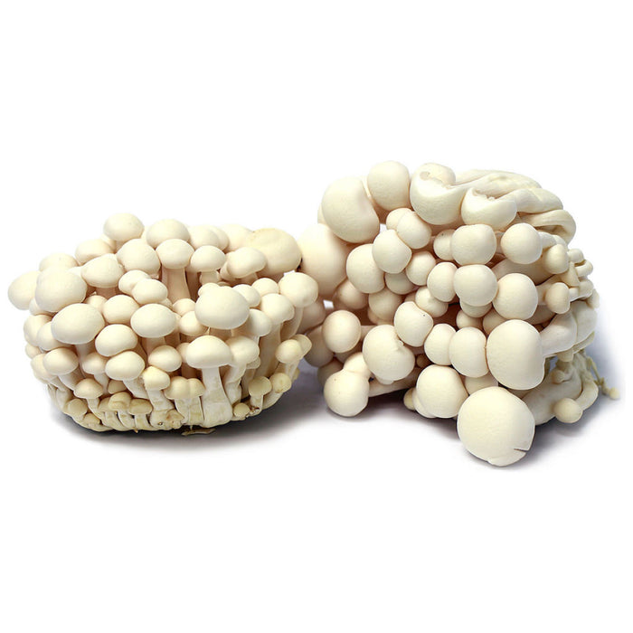 White Shimeji Mushrooms