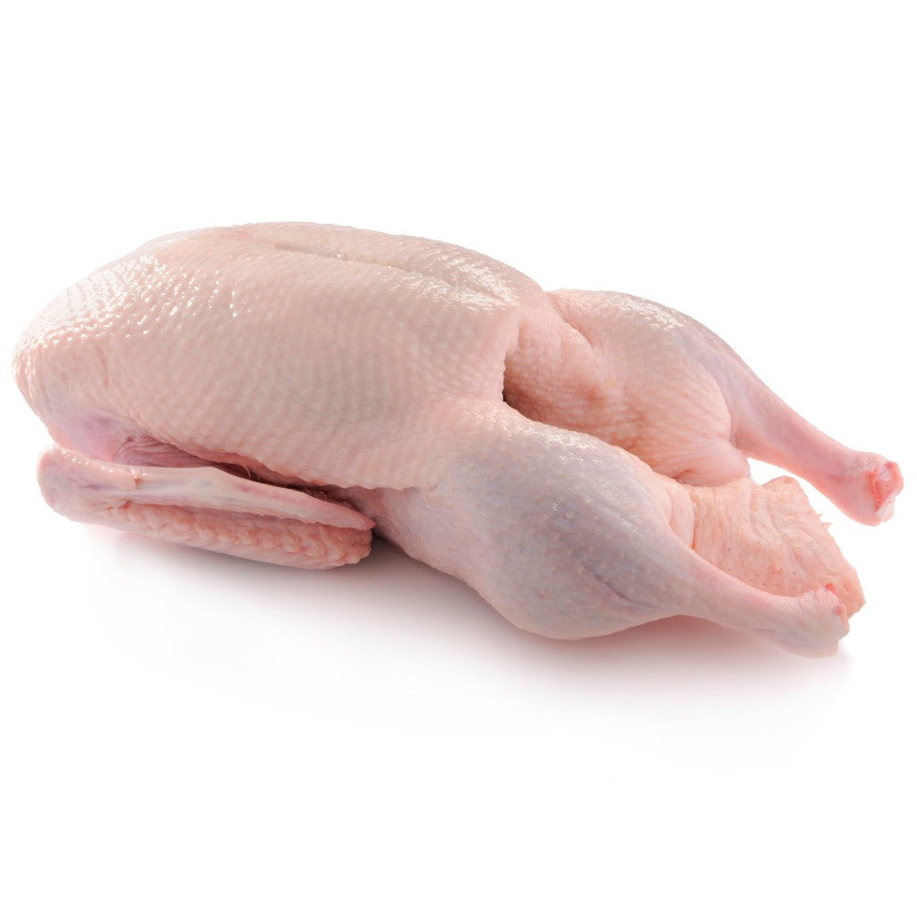 Thawed Whole Duck