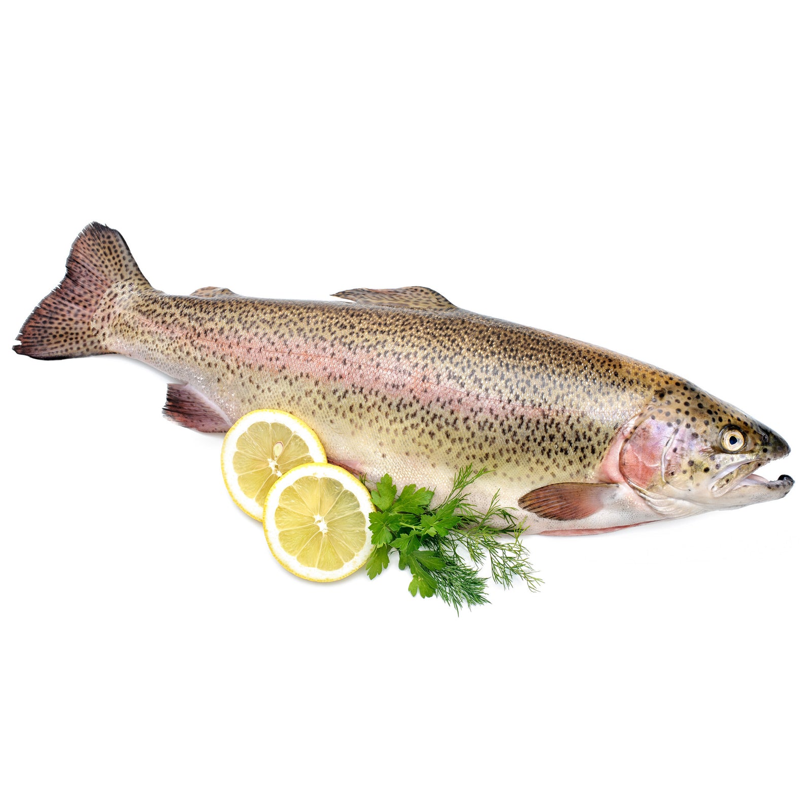 Whole Rainbow Trout