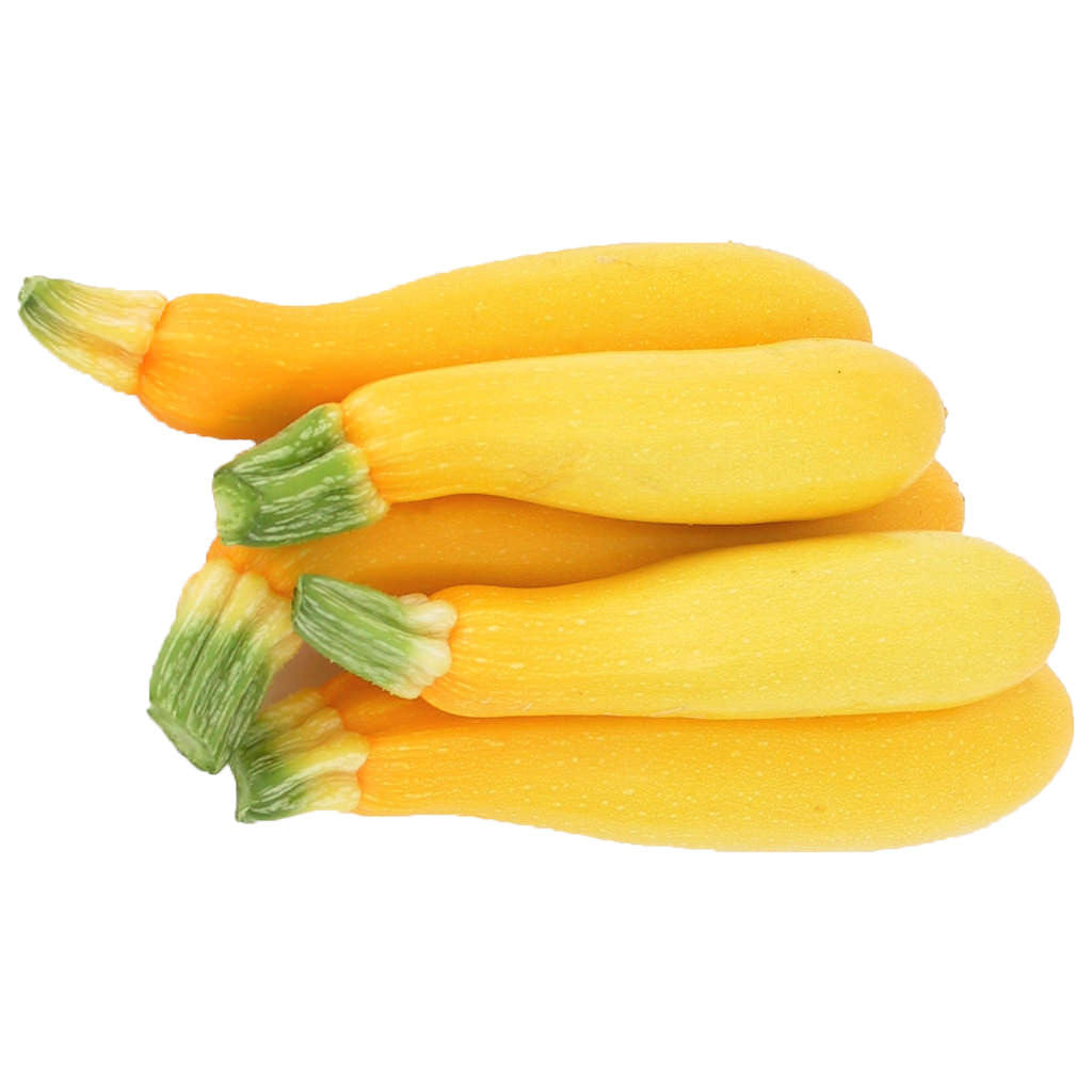 Yellow Zucchini
