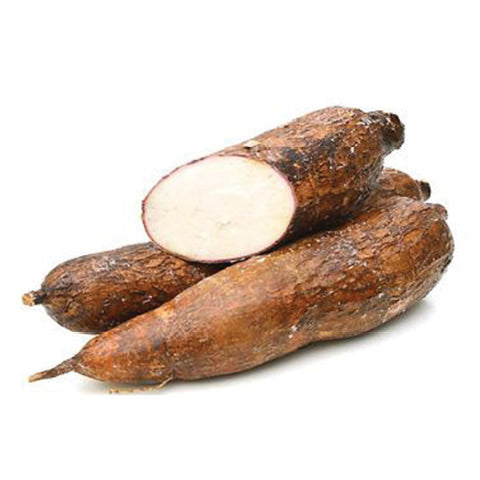 Yucca Root (Manioc)